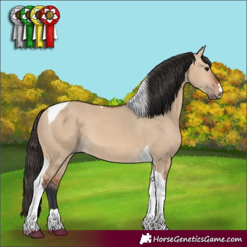 Horse Color:Bay Dun Tobiano 