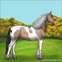 Horse Color:Bay Dun Tobiano 