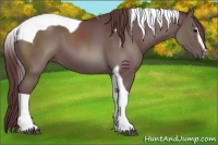Horse Color:Chocolate Black Sabino Tobiano 