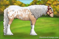 Horse Color:Silver Bay Pearl Tobiano Blanket
