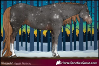 Horse Color:Liver Chestnut Tobiano Rabicano 