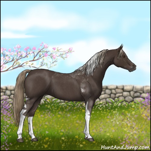 Horse Color:Liver Red Roan Tobiano