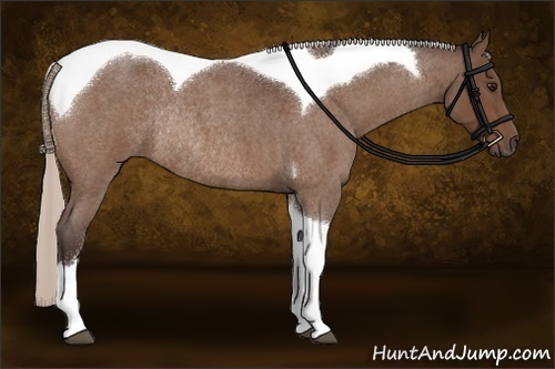 Horse Color:Silver Brown Roan Tobiano Rabicano 