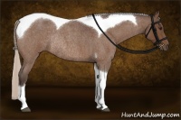Horse Color:Silver Brown Roan Tobiano Rabicano 