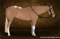 Horse Color:Chestnut Sabino Tobiano