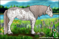 Horse Color:Liver Chestnut Sabino Splash Varnish and Liver Chestnut Sabino Splash Varnish