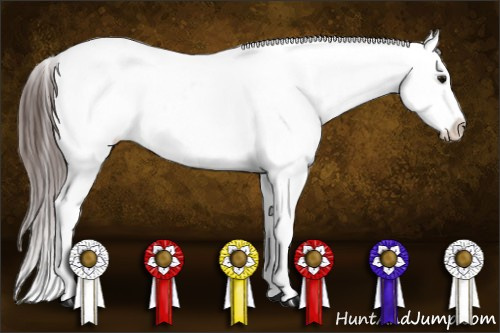 Horse Color:Brown Sabino Splash Appaloosa  and Brown Sabino Splash Appaloosa 