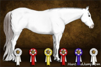 Horse Color:Brown Sabino Splash Appaloosa and Brown Sabino Splash Appaloosa
