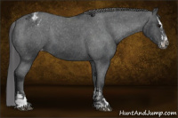 Horse Color:Black Sabino Splash Varnish and Black Sabino Varnish