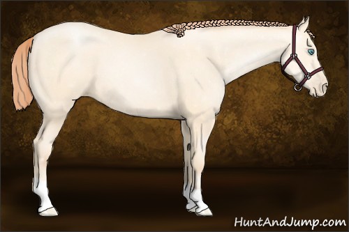 Horse Color:Amber Cream Champagne Pearl 