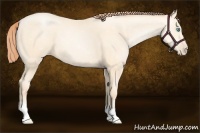 Horse Color:Amber Cream Champagne Pearl