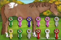 Horse Color:Chestnut Appaloosa