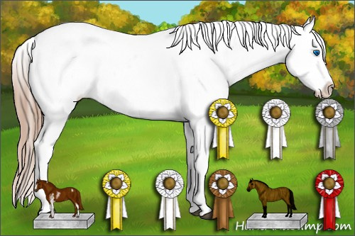 Horse Color:Liver Chestnut Sabino Splash Varnish  and Chestnut Sabino Splash Varnish 