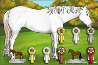 Horse Color:Liver Chestnut Sabino Splash Varnish  and Chestnut Sabino Splash Varnish 