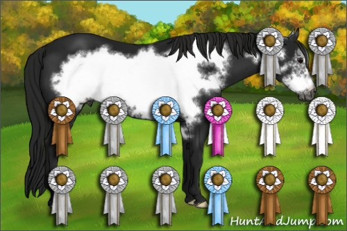 Horse Color:Gray Black Frame 