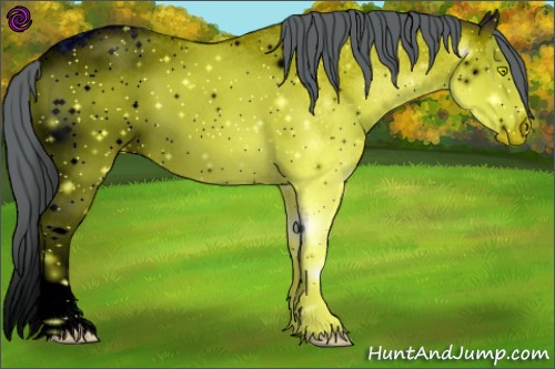 Horse Color:ERROR: UNKNOWN ANOMALY
