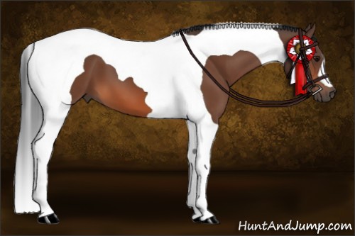 Horse Color:Bay Tobiano 