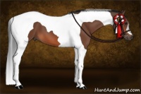 Horse Color:Bay Tobiano