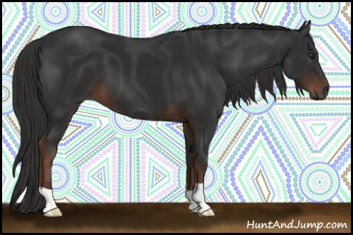 Horse Color:Gray Liver Chestnut 