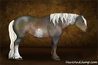 Horse Color:White Spotted Liver Chestnut Rabicano 