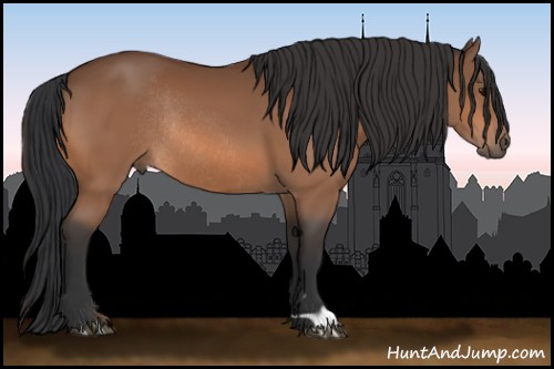 Horse Color:Bay Rabicano 