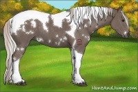 Horse Color:White Spotted Silver Black Tobiano 