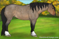 Horse Color:Gray Brown Roan Dun 