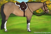 Horse Color:Bay Dun