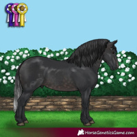 Horse Color:Platinum Brown 