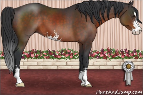 Horse Color:Brown Sabino 