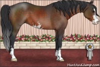 Horse Color:Brown Sabino
