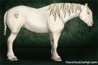 Horse Color:Buckskin Roan Pearl and Buckskin Roan Pearl