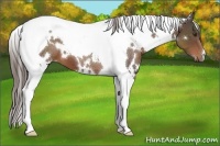 Horse Color:White Spotted Liver Chestnut Tobiano 