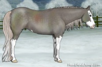 Horse Color:Silver Blue Roan Splash 