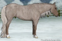 Horse Color:Silver Blue Roan 