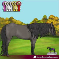 Horse Color:Grullo 