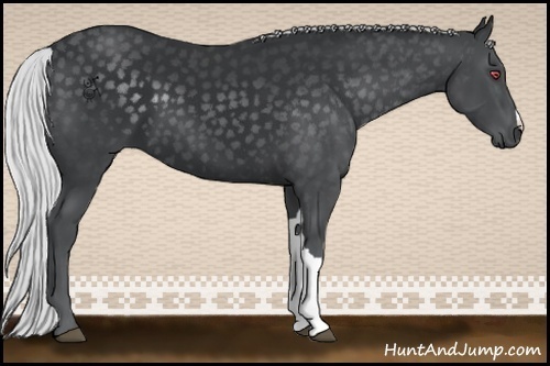 Horse Color:Silver Black Chinchilla