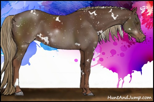 Horse Color:White Spotted Liver Chestnut 