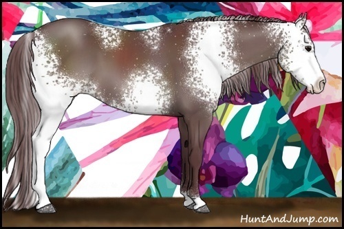 Horse Color:White Spotted Chocolate Black