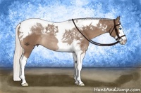 Horse Color:Chestnut Splash Tobiano