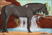 Horse Color:Smoky Blue Roan Rabicano 