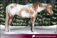 Horse Color:White Spotted Liver Chestnut Pearl 