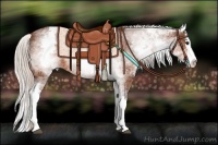Horse Color:White Spotted Silver Brown Splash