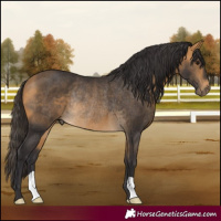 Horse Color:Buckskin Rabicano