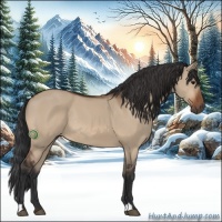 Horse Color:Bay Dun Rabicano 