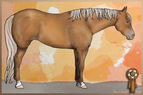 Horse Color:Gray Silver Amber Champagne 