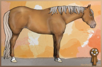 Horse Color:Gray Silver Amber Champagne