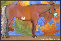 Horse Color:Silver Bay Roan Frame Rabicano 