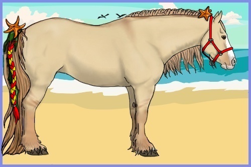 Horse Color:Red Dun Splash