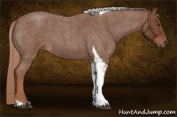 Horse Color:Red Roan Tobiano 